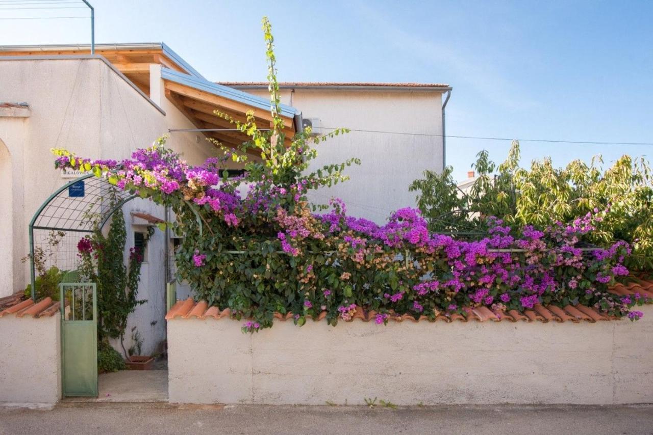 Apartments Anita Summer Βόντιτσε Εξωτερικό φωτογραφία